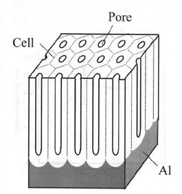 Idealized structure of anodic porous aluminum oxide. From