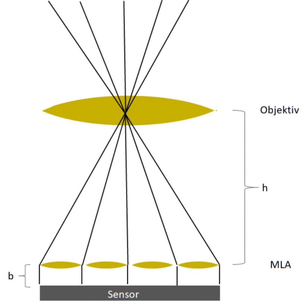 Plenoptic cameras